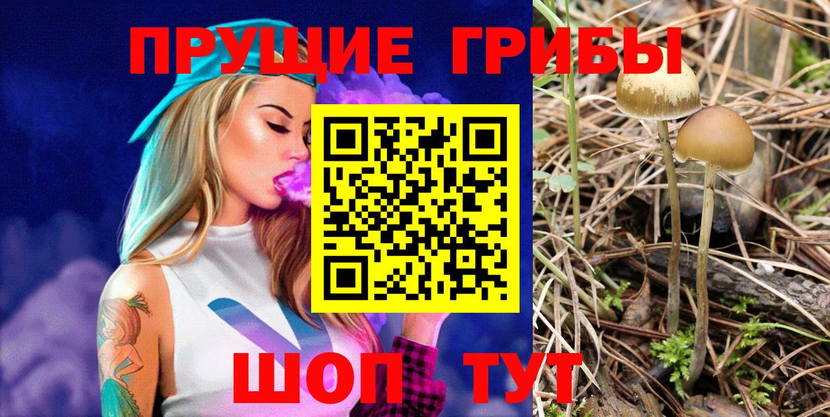 Псилоцибиновые грибы прущие грибы  Вход с VPN  Прохладный 